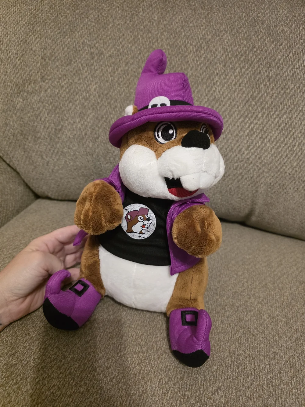 HALLOWEEN Bucee In Witch Costume